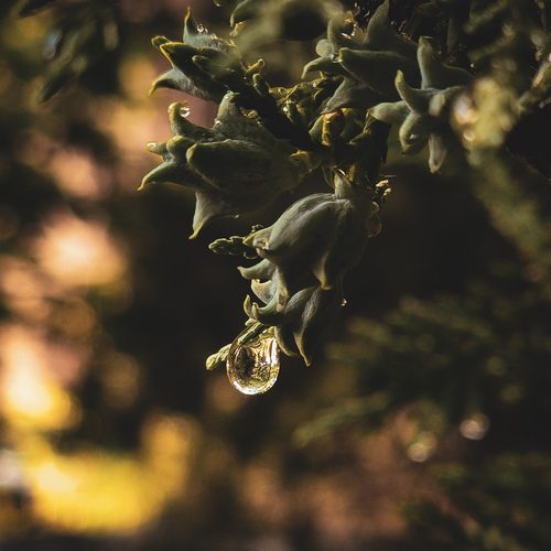Photo #13974399