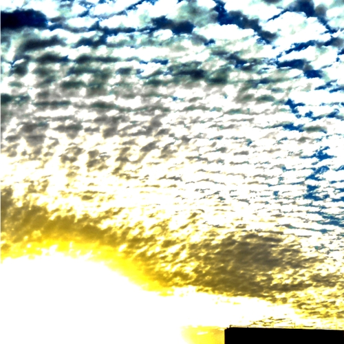 Photo #13974440