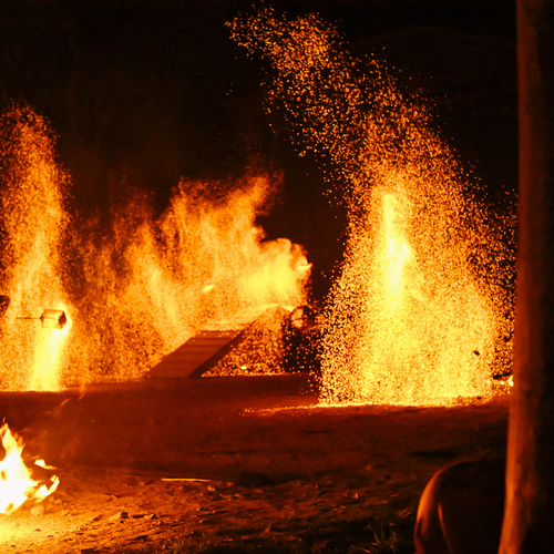 Photo #13974444