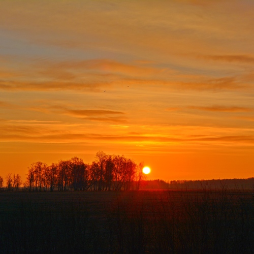 Photo #13974460