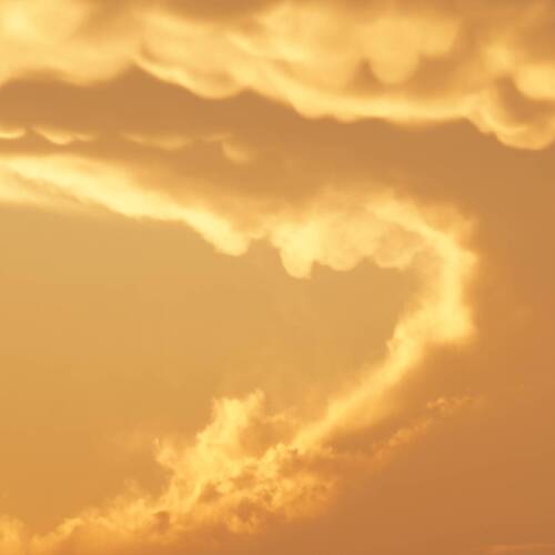 Photo #13974548