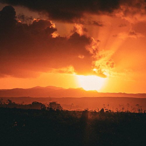 Photo #13974647