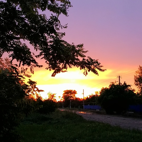 Photo #13974762