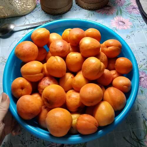 Photo #13974772