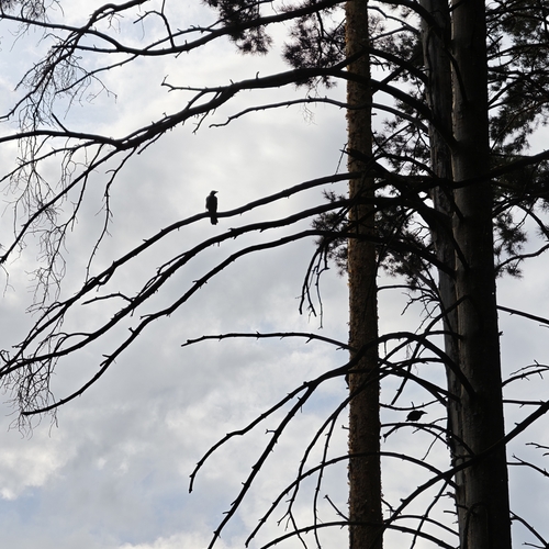 Photo #13974821