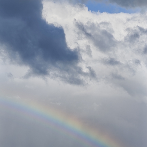 Photo #13974845