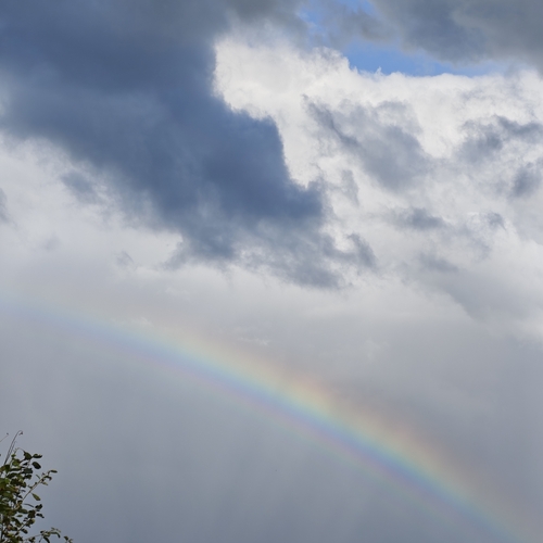 Photo #13974848