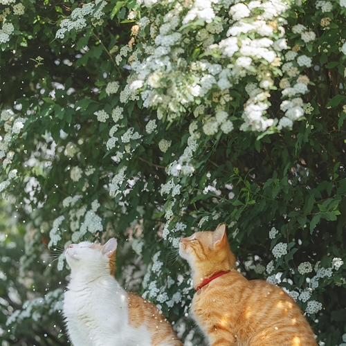 A Quiet Encounter
