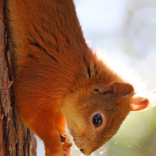 Photo #13974925