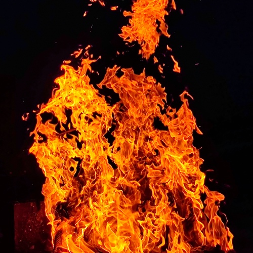 Photo #13974931