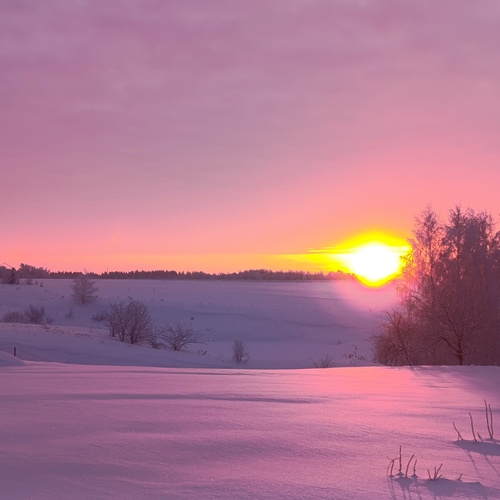 Photo #13975095