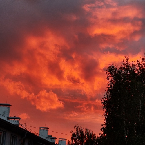 Photo #13975098
