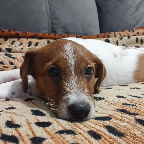 Photo #13975197
