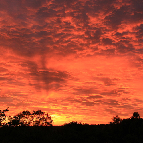 Photo #13975302