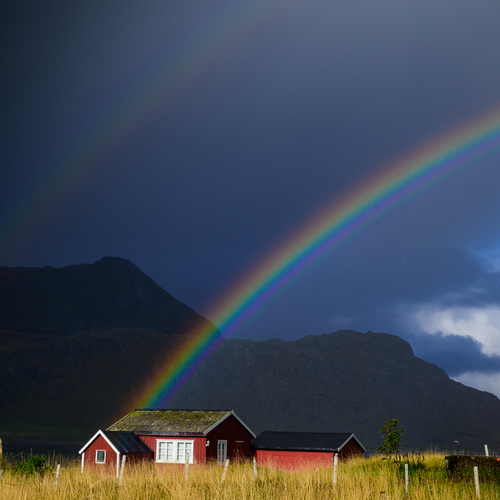 Photo #13975748