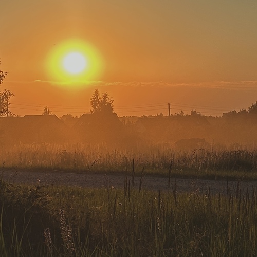 Photo #13975834