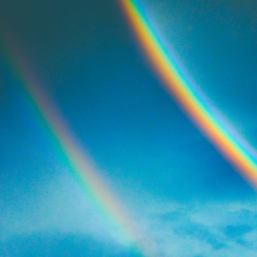 Photo #13975977