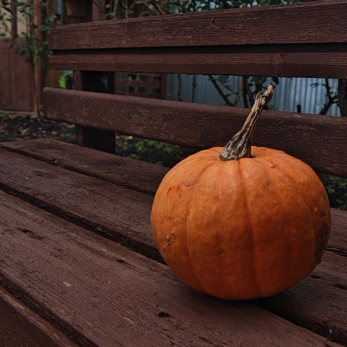 Photo #13976026
