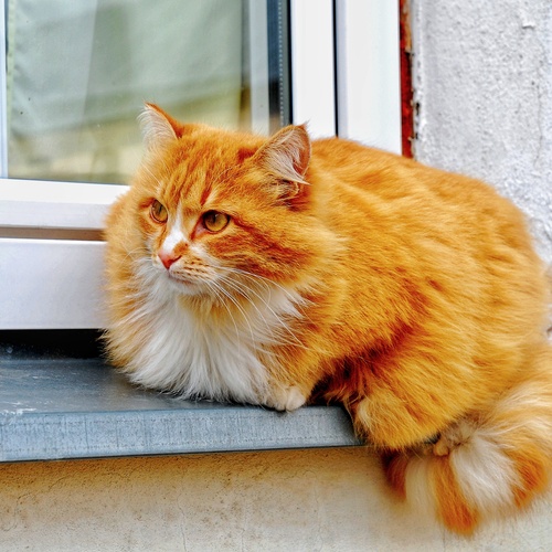 Photo #13976101