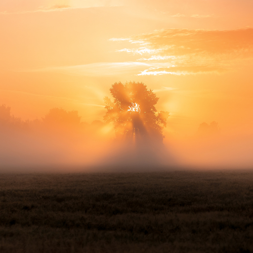 Photo #13976109