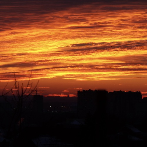 Photo #13976130