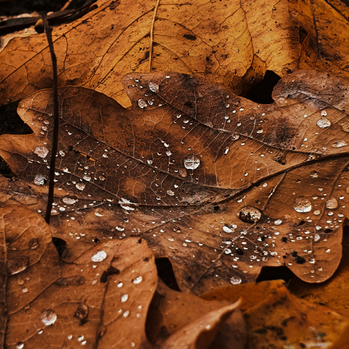 Photo #13976398