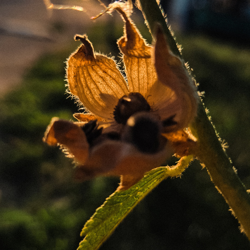 Photo #13976399