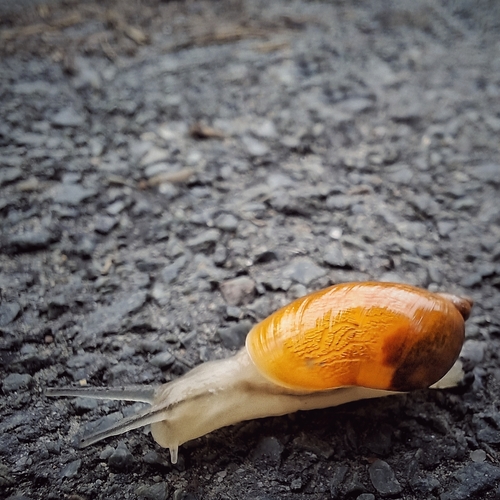 Photo #13976611