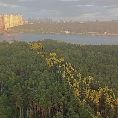 24.08.2026