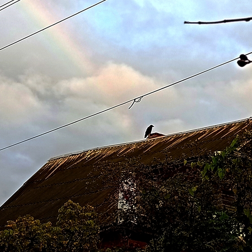 Photo #13976749