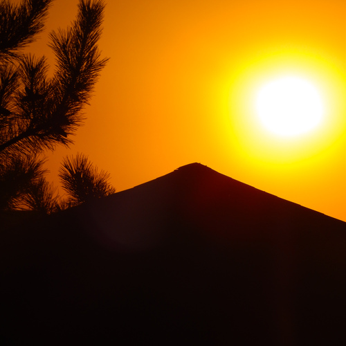 Photo #13976952