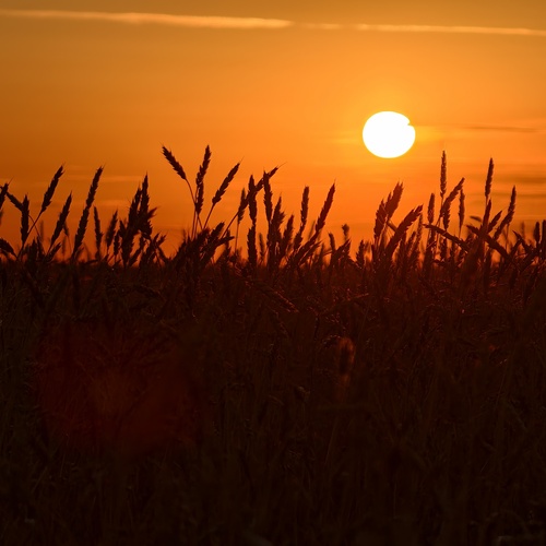 Photo #13976970