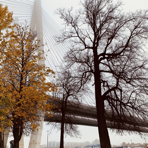 Photo #13977206