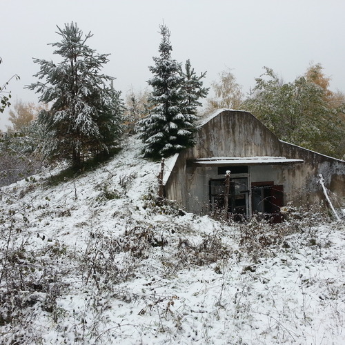 Photo #13977609