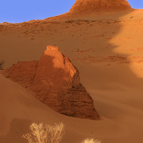Photo #13977726