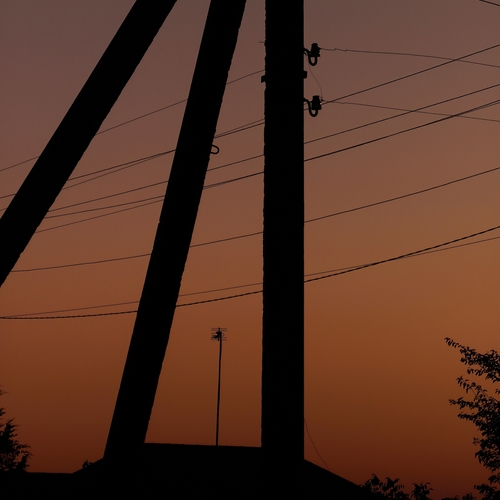 Photo #13977745