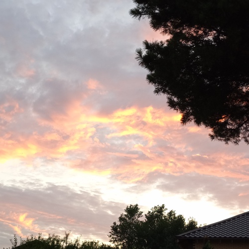 Photo #13977796