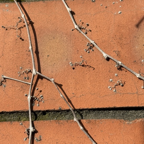 Photo #13978140