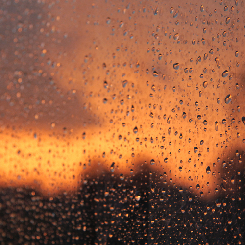 Photo #13978243