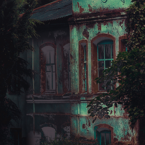 Photo #13978442