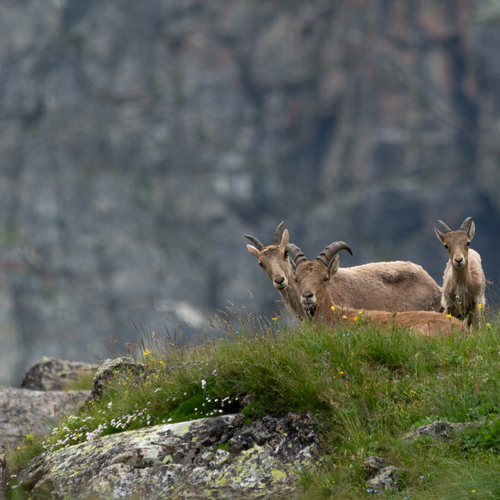 Photo #13979028