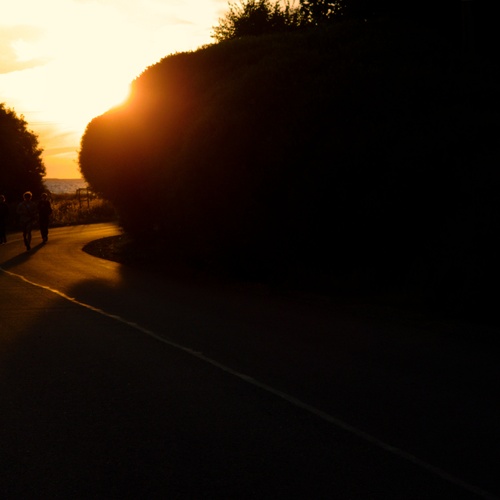 Photo #13979306