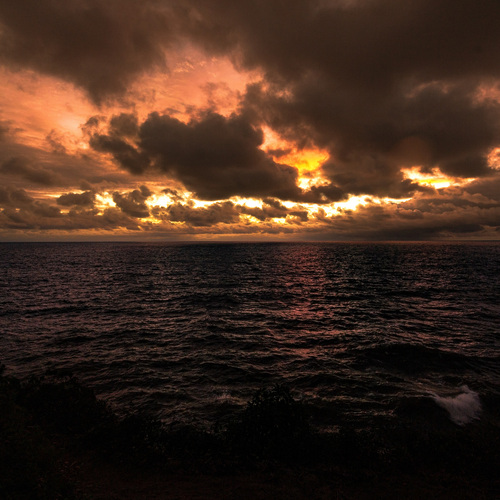 Photo #13979462