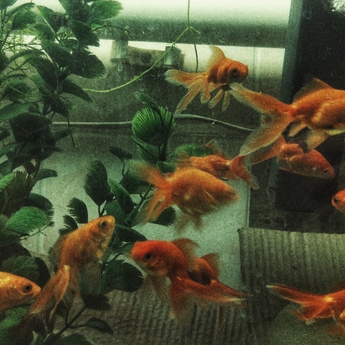 Photo #13979600