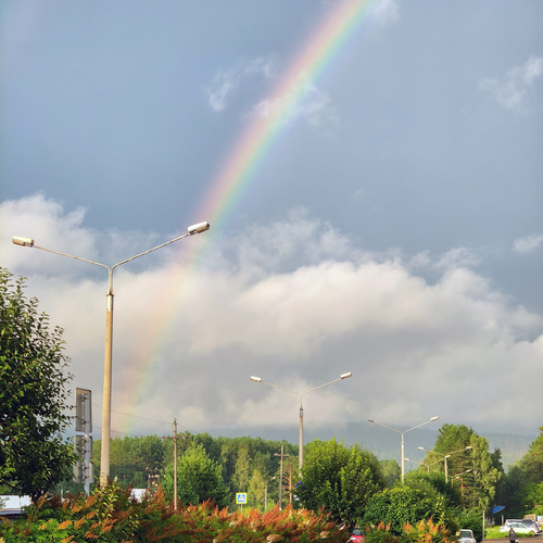 Photo #13979605