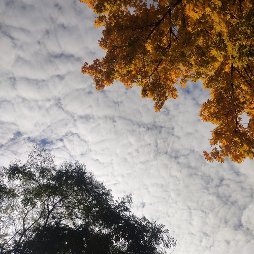 Photo #13979624