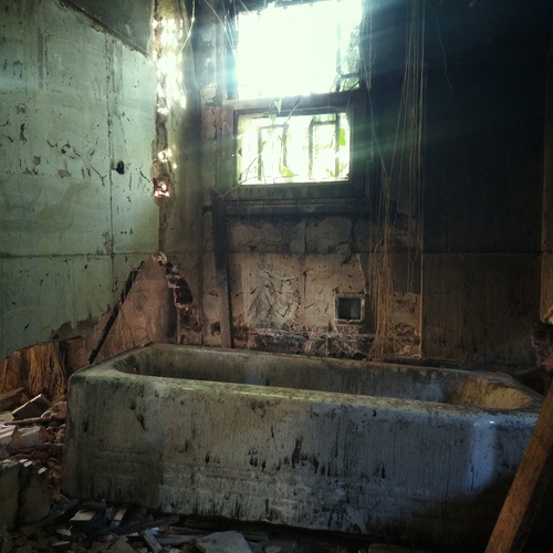 Photo #13979806