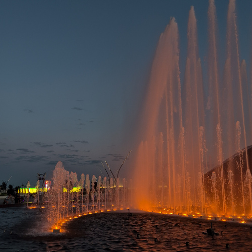 Photo #13979993