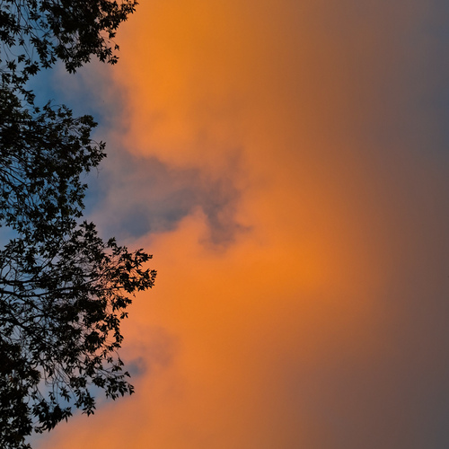 Photo #13979994