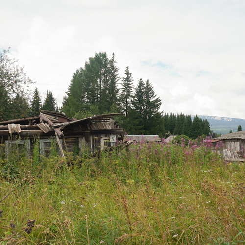 Photo #13980134